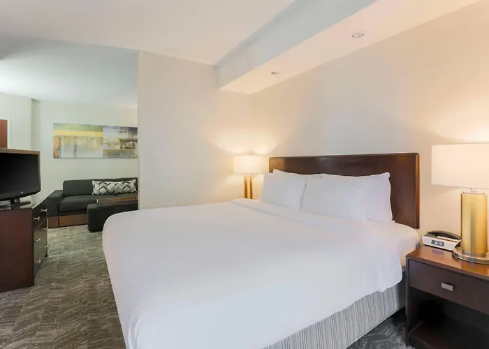 Springhill By Marriott Hotel 3*